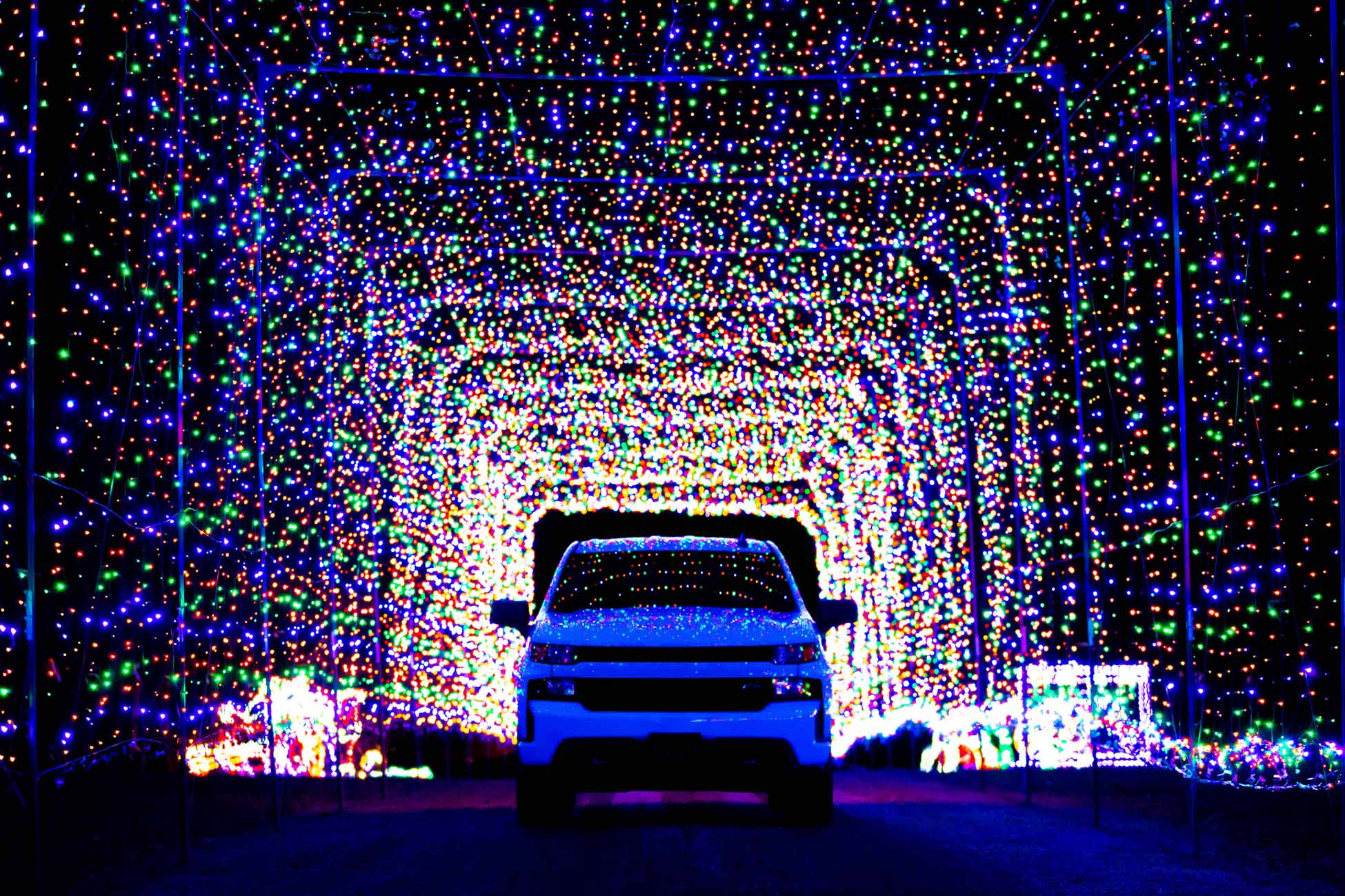 Christmas Lights