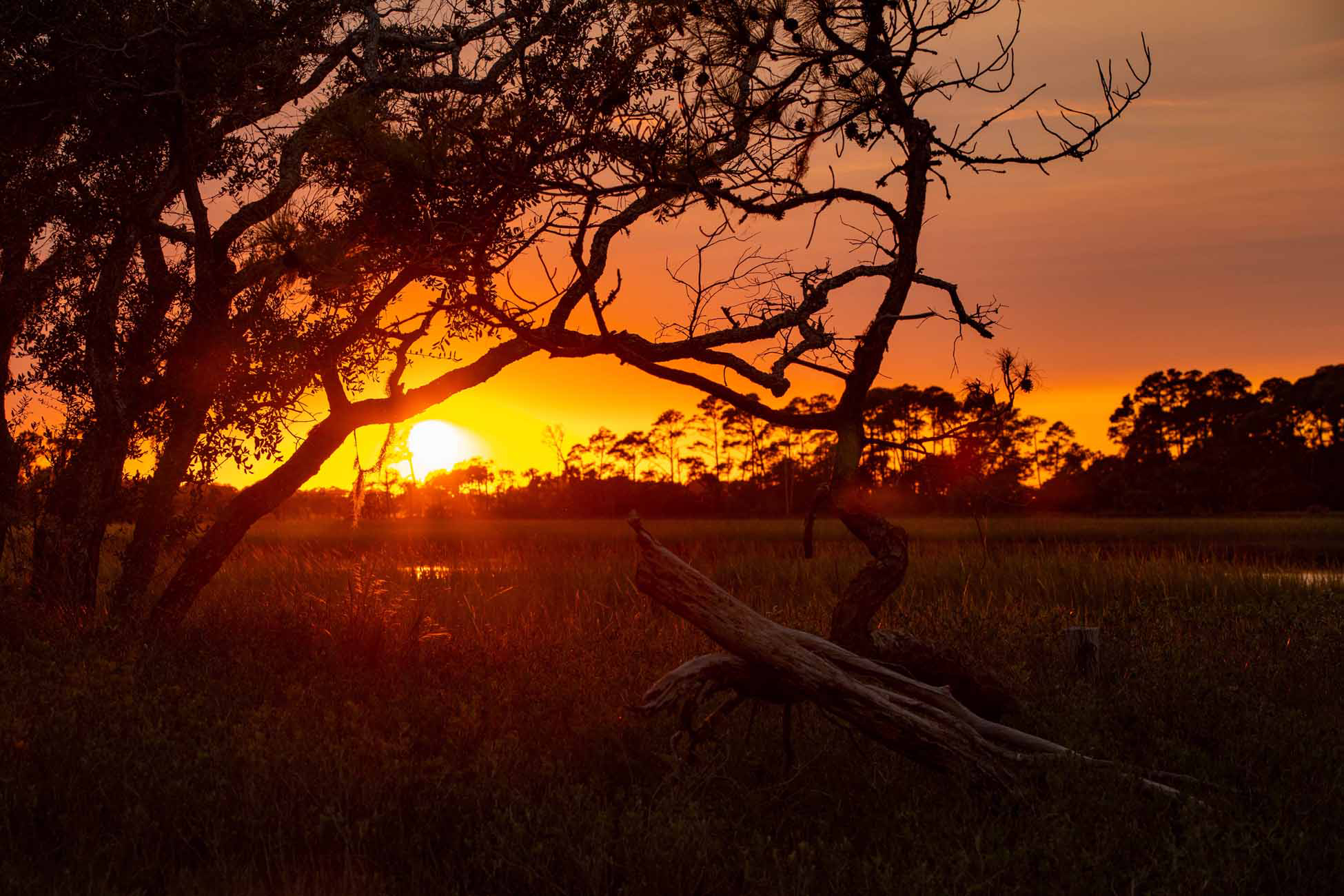 Hunting Island