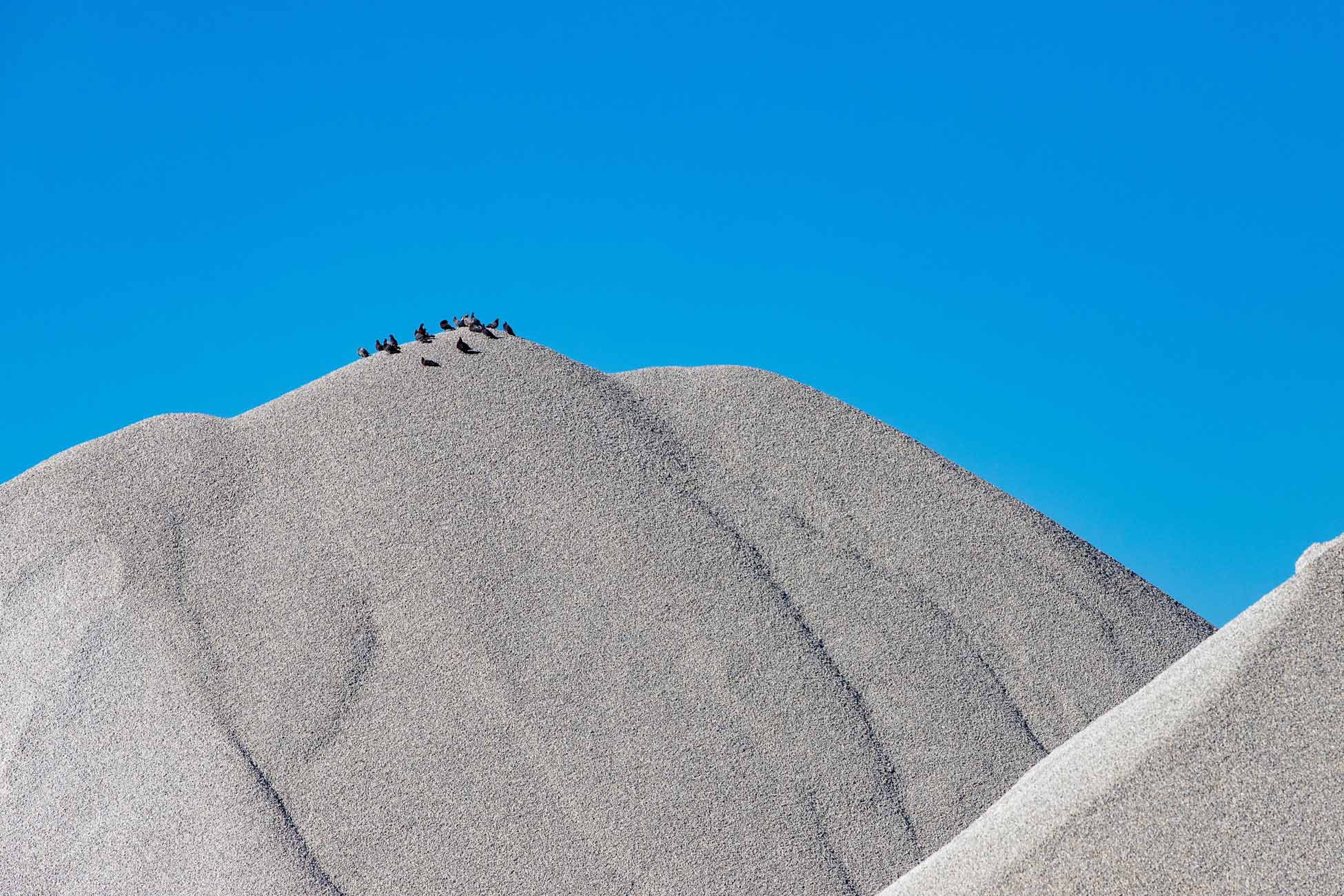 Birds Atop Gravel Pile